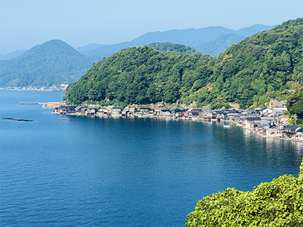 伊根湾の海を知り尽くした現役漁師がご案内